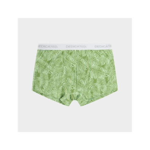 Boxer Dedicated Boxer Briefs Kalix Palm Leaves