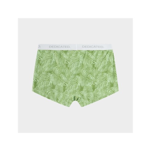 Boxer Dedicated Boxer Briefs Kalix Palm Leaves