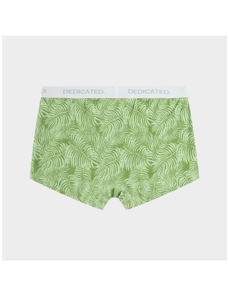 Boxer Dedicated Boxer Briefs Kalix Palm Leaves