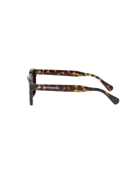 Gafas de sol Hydroponic Birch de forma atemporal.