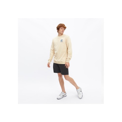 Hydroponic Agassi Shorts