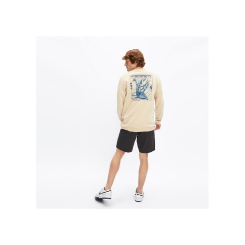 Hydroponic Agassi Shorts