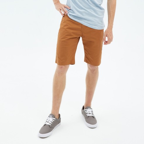 Bermudas Hydroponic Century