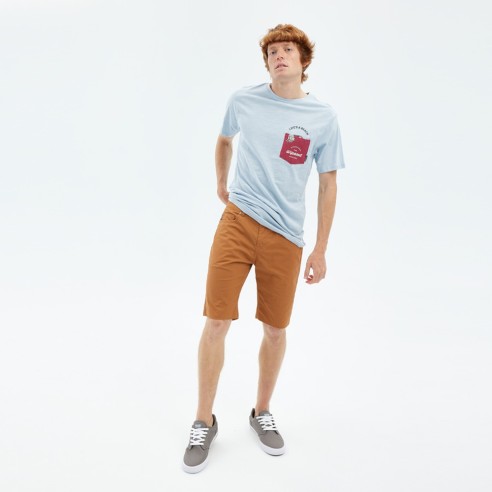 Bermudas Hydroponic Century