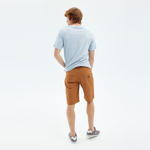 Bermudas Hydroponic Century