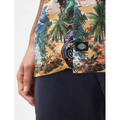 Camisa Dickies Cordele azul