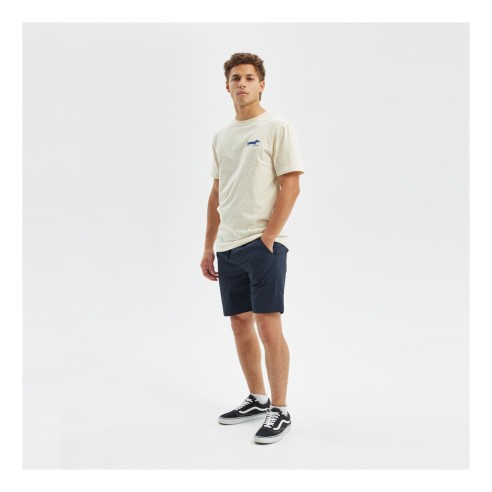 Bermudas Hydroponic 18 Atrani