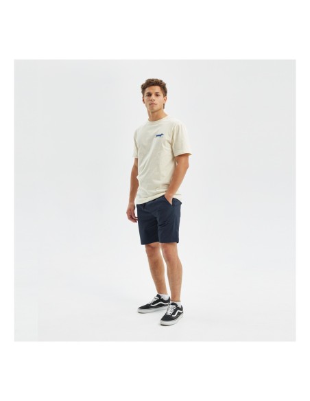 Bermudas Hydroponic 18 Atrani