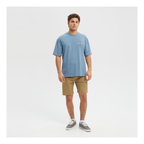 Bermudas Hydroponic 18 Atrani