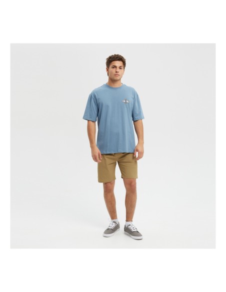 Hydroponic 18 Atrani Shorts