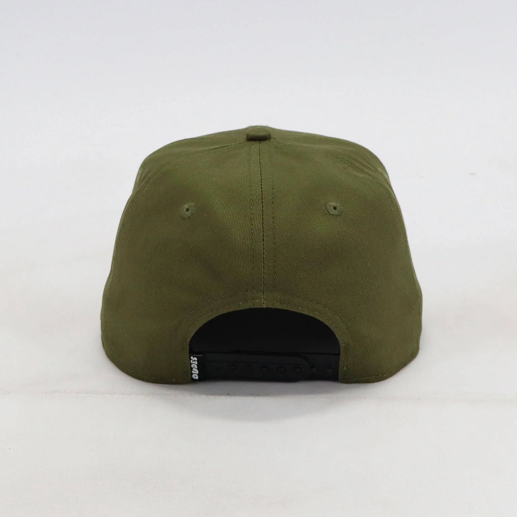 Gorra The Dudes Duck structured 6 panel Cedar green