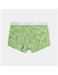 Boxer Dedicated Boxer Briefs Kalix Palm Leaves Green - Roundtrip