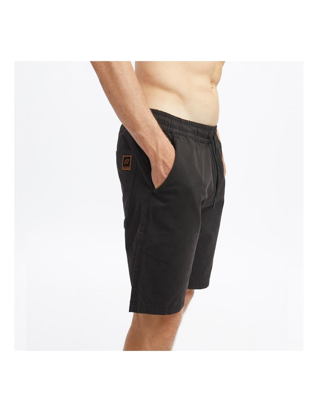 Bermuda Hydroponic Agassi Negro