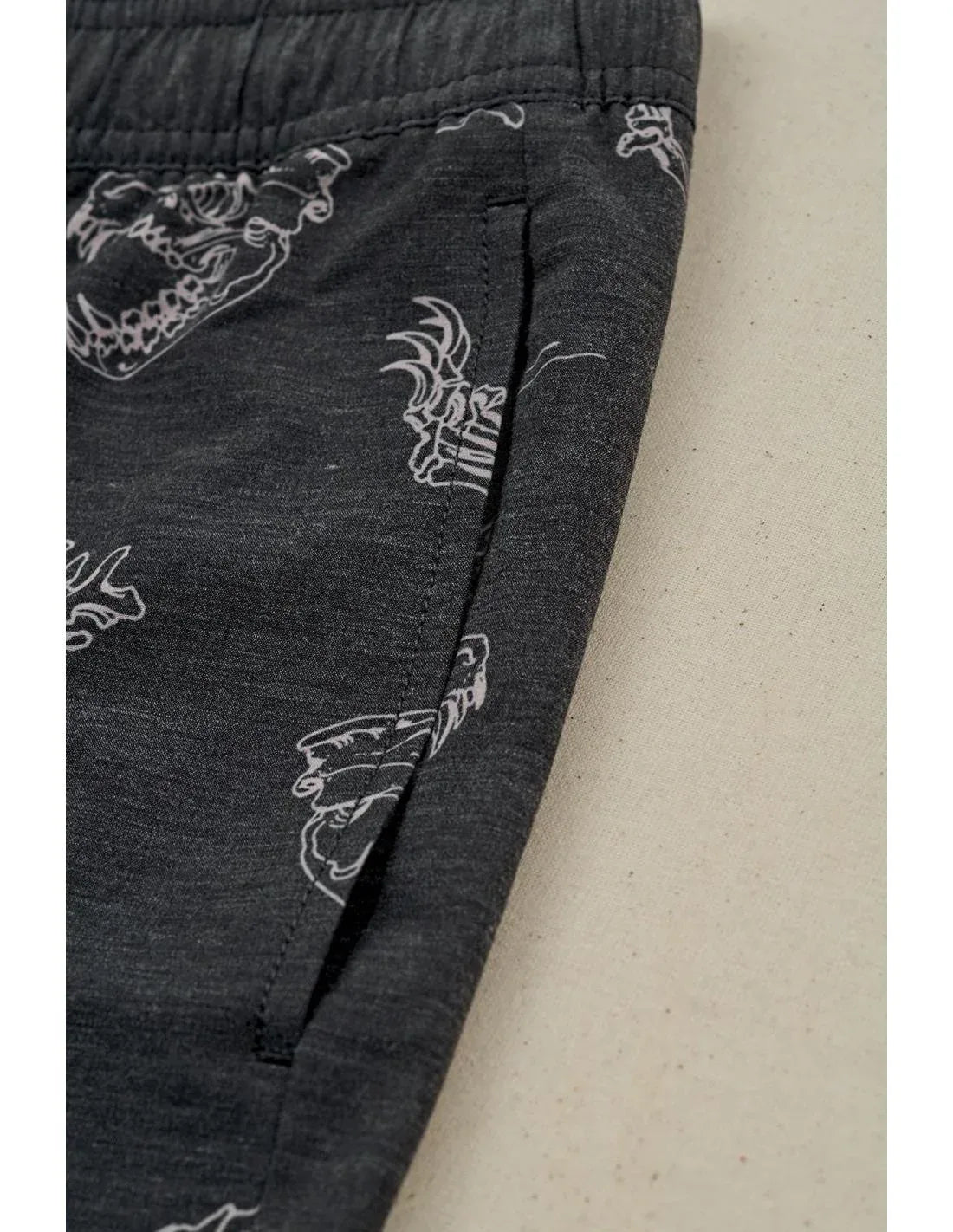 Bermuda Globe Dion Agius Poolshort Black - Roundtrip