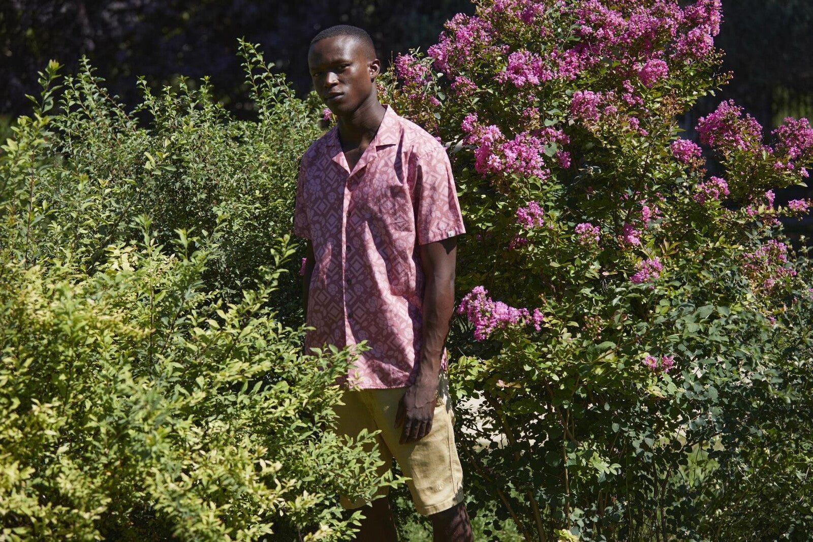 Camisa Tiwel Crick Cameo Rose