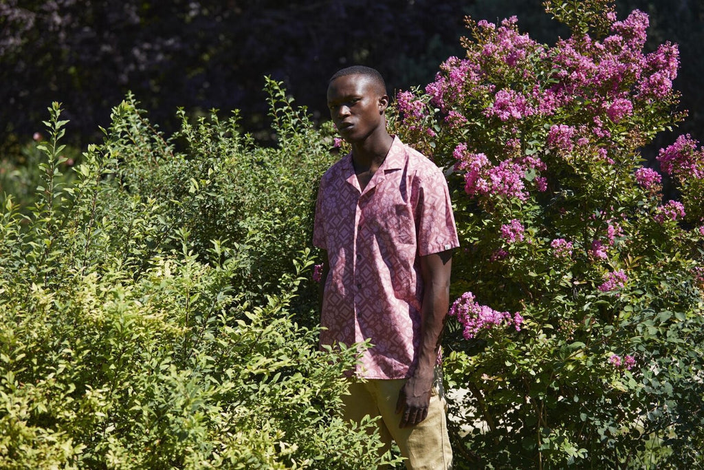 Camisa Tiwel Crick Cameo Rose