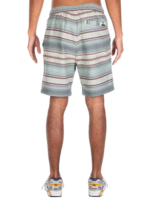 Bermudas Iriedaily Vintachi Short Mint Grey