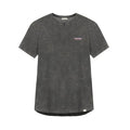 Camiseta Arica Denali Premium Washed Grey - Roundtrip