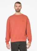 Sudadera Ragwear Washel Terracotta