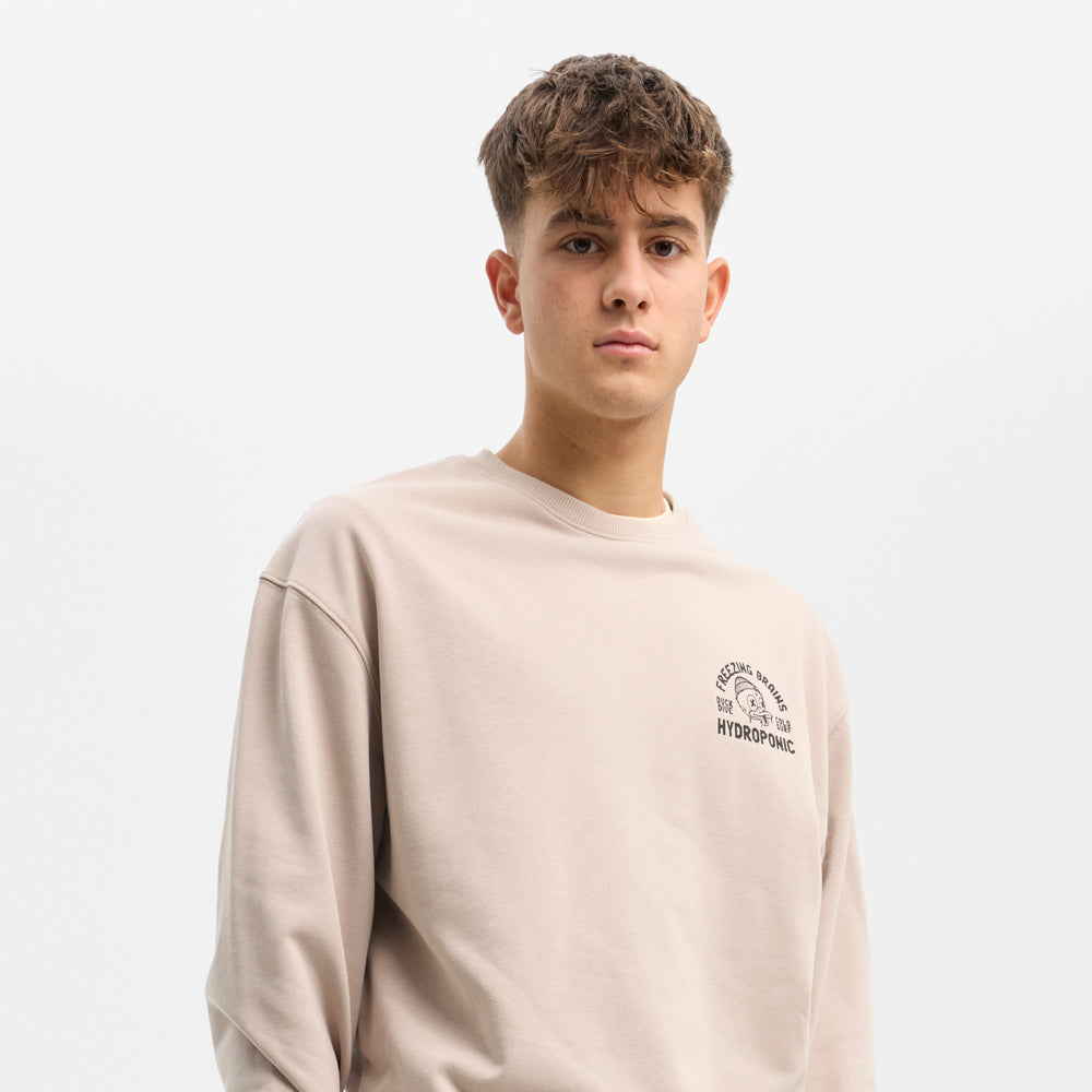 Sudadera Hydroponic Duck Taupe