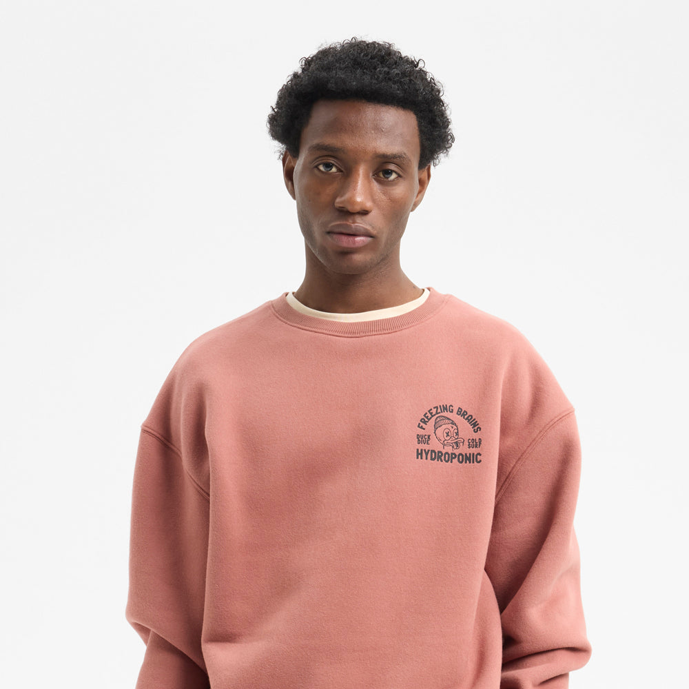 Sudadera Hydroponic Duck Terracota
