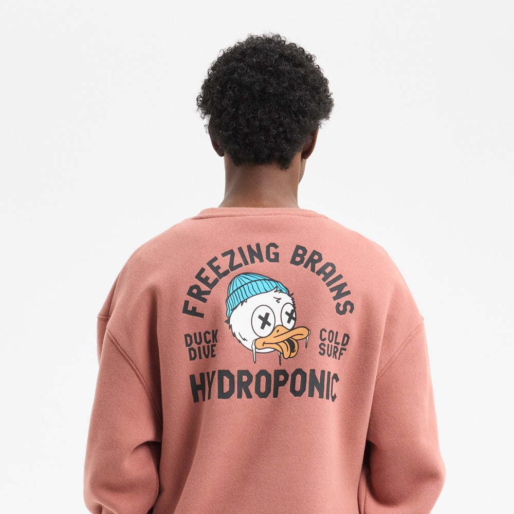 Sudadera Hydroponic Duck Terracota