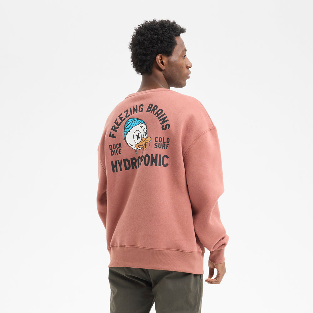 Sudadera Hydroponic Duck Terracota