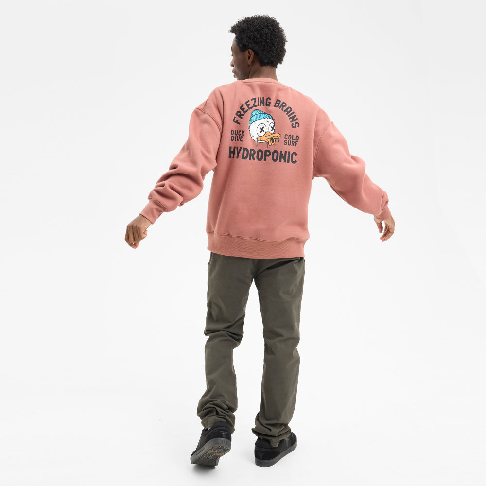 Sudadera Hydroponic Duck Terracota