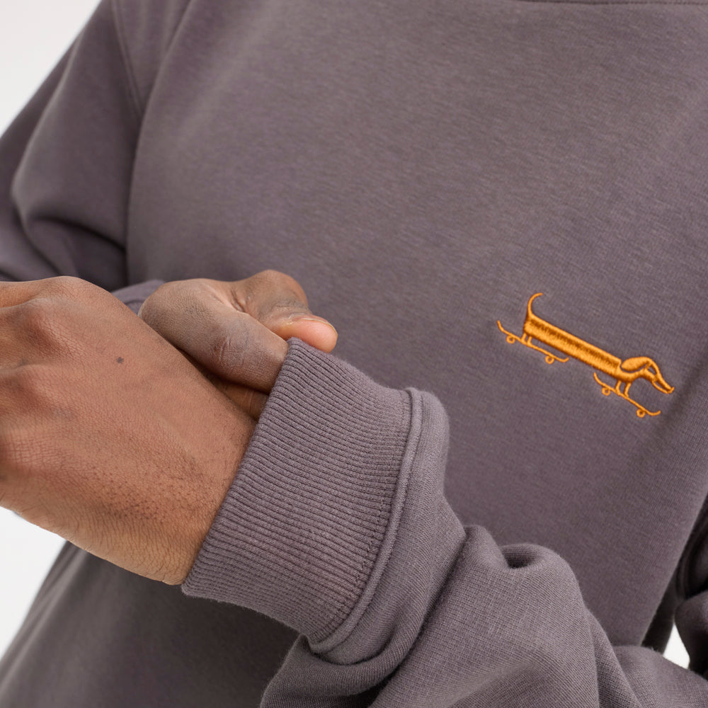 Sudadera Hydroponic Long Dog Bison Grey