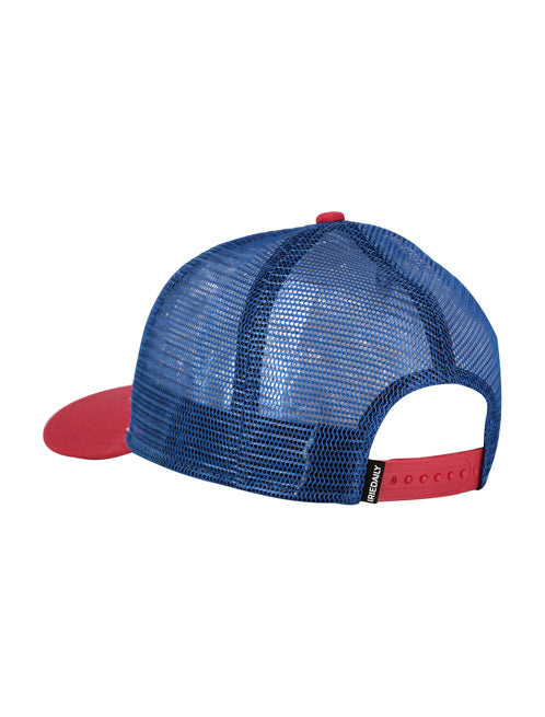 Gorra Iriedaily Stonefinger Navy Red