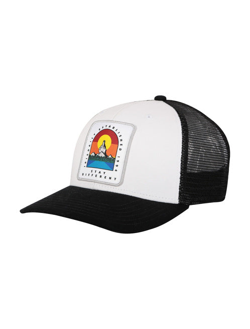 Gorra Iriedaily Stonefinger Black White