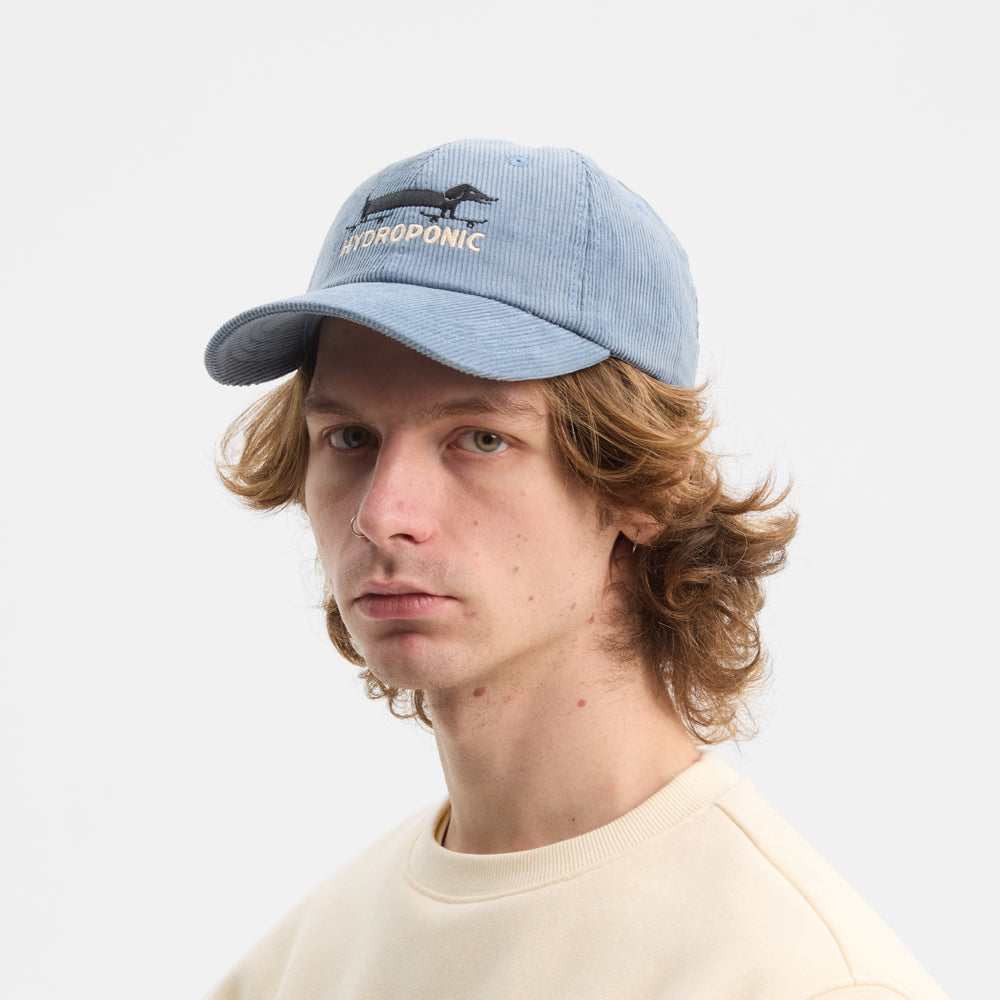 Gorra Hydroponic x Peanut Long Dog Blue Grey cord