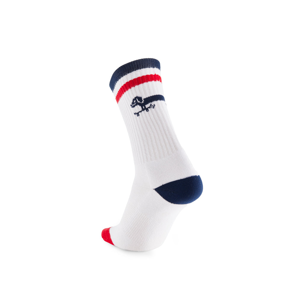 Calcetines Hydroponic Dachshund Blanco